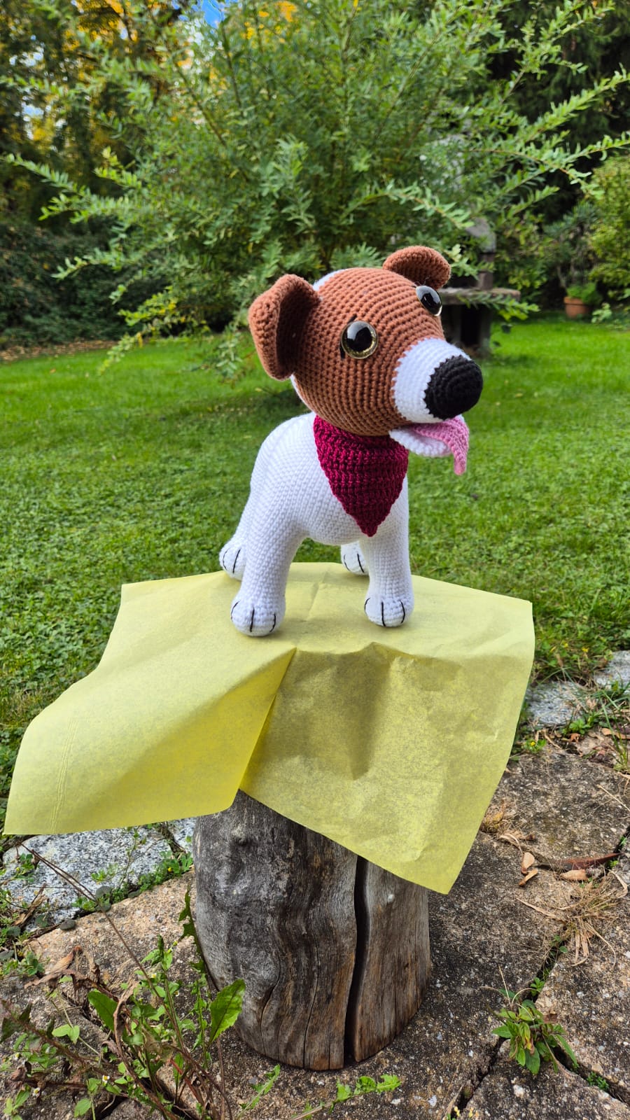 Hund - Jagdhundmischling / Jagdhund / Schäferhund - Eigenanfertigung